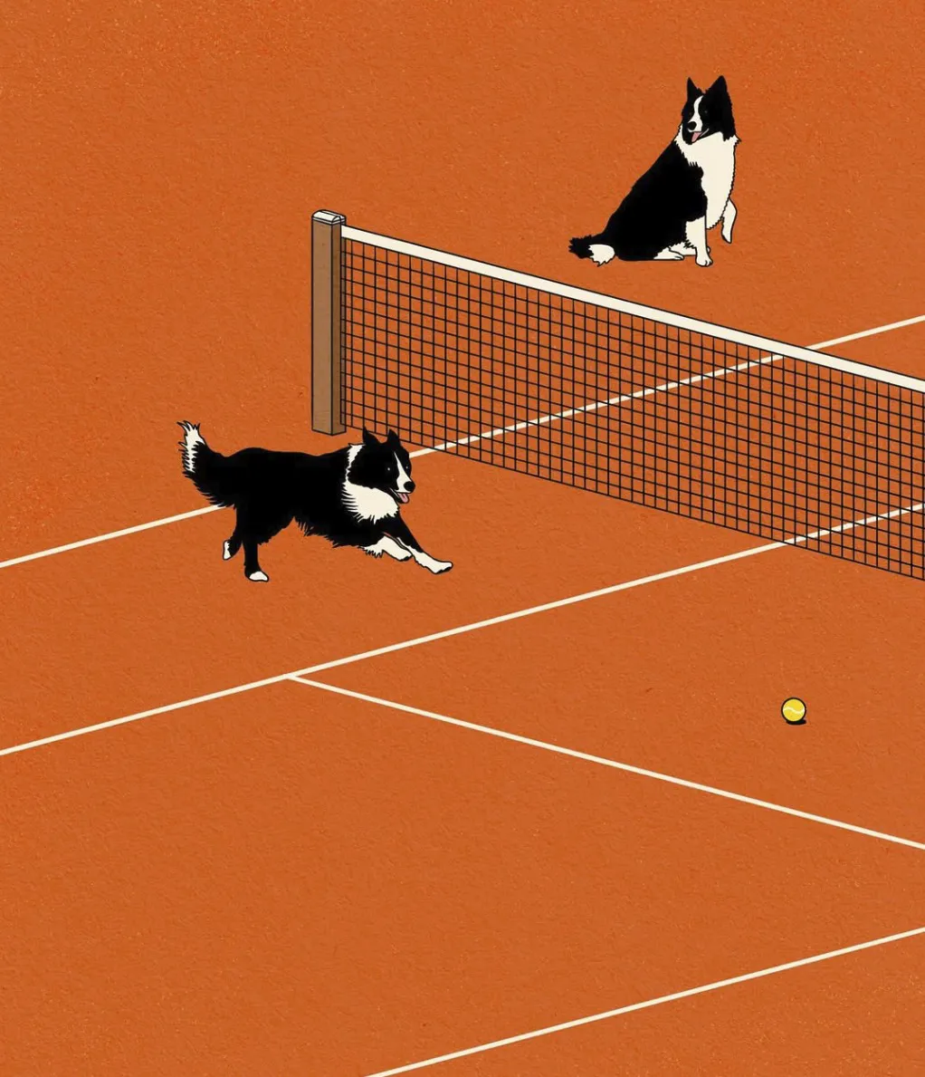 tennisball flies past the line judge