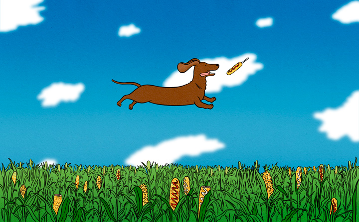 flying dog over a field of hot dogs 