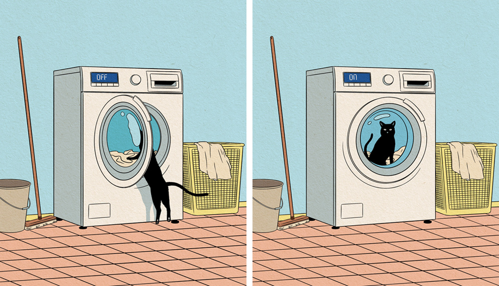 cat looking into a washer being captured 