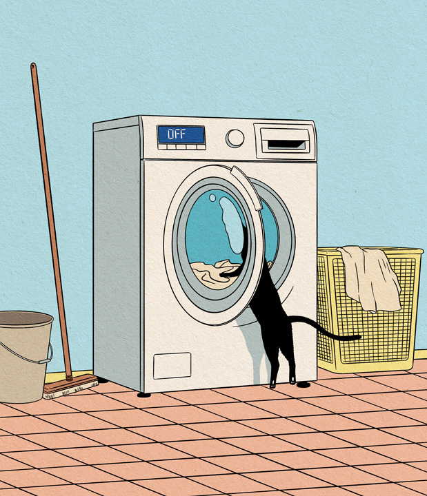  / Katzen