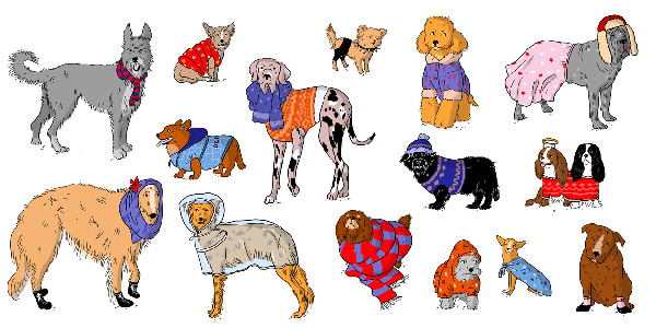  / Dog Wear