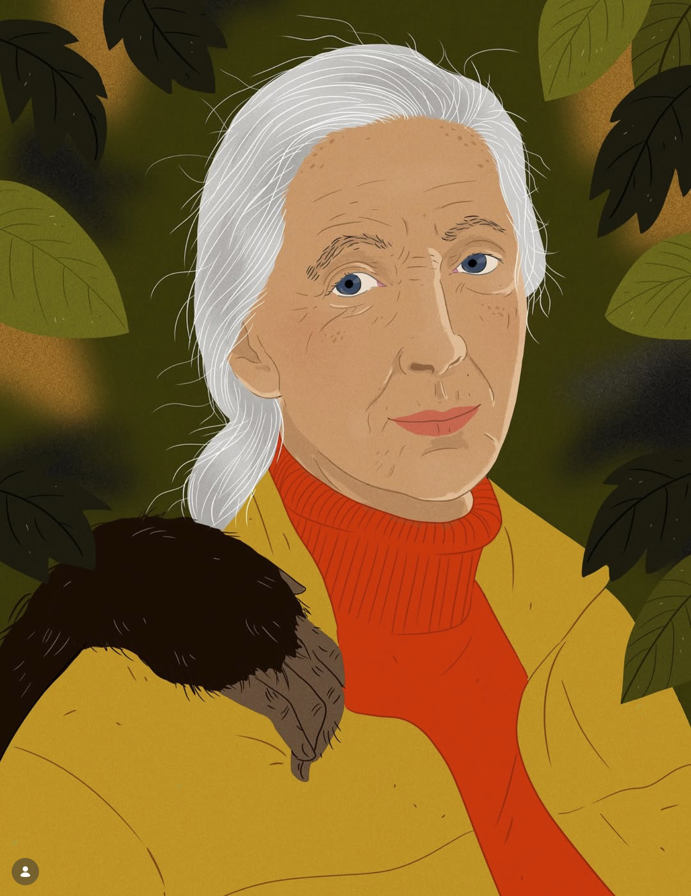 jane goodall touched by the hand of an ape