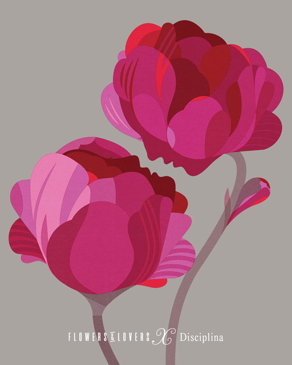 rose petals in the form of crescents facing each other
