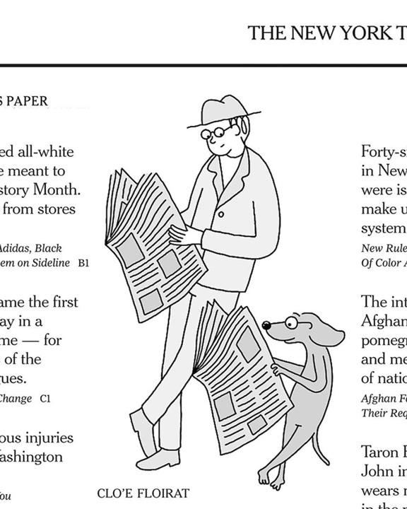 man and dog reading newspaper 