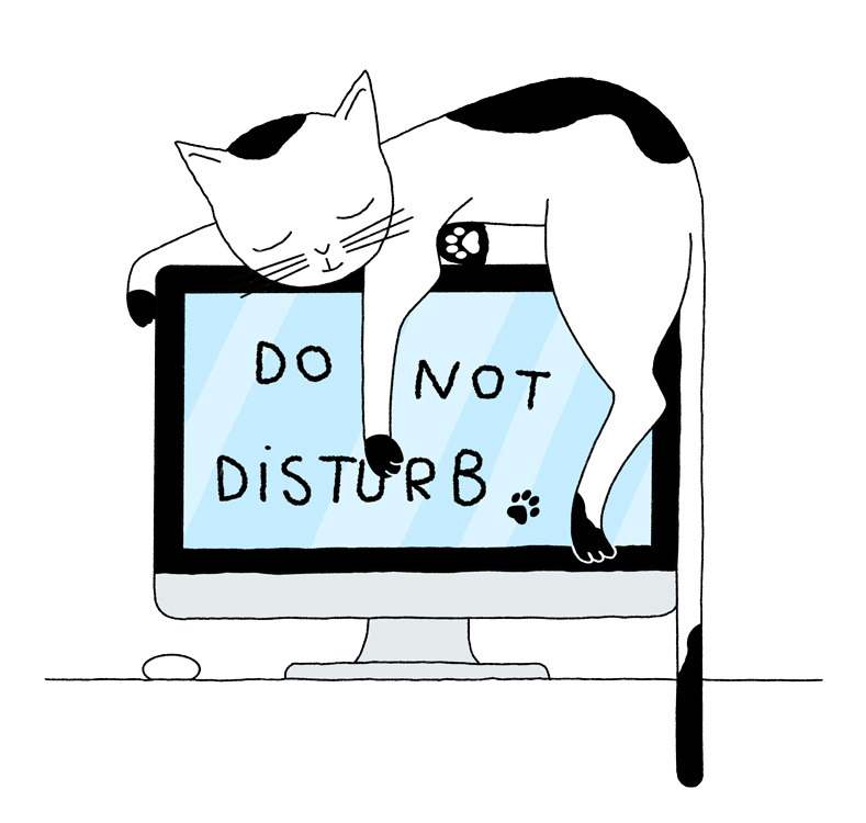 sleeping cat lying on monitor