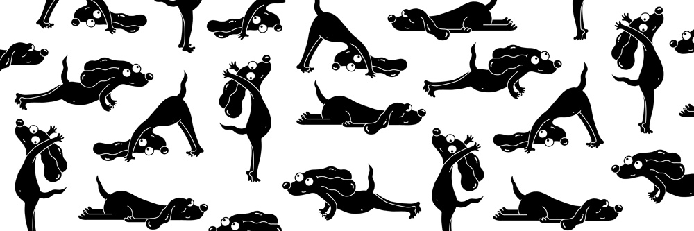 dog in different yoga positions 