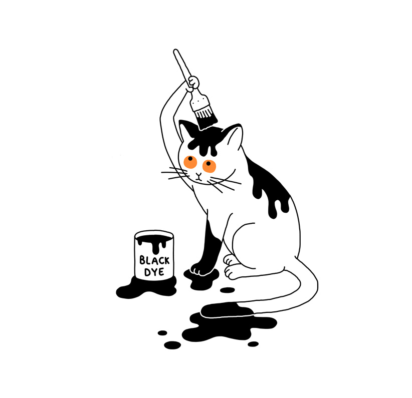 cat painting itself black 