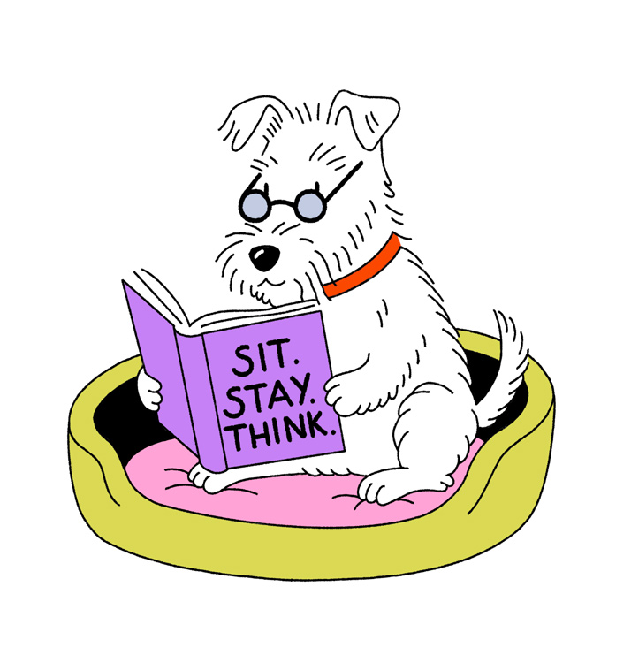dog sitting in his dog bed with glasses and reading a book