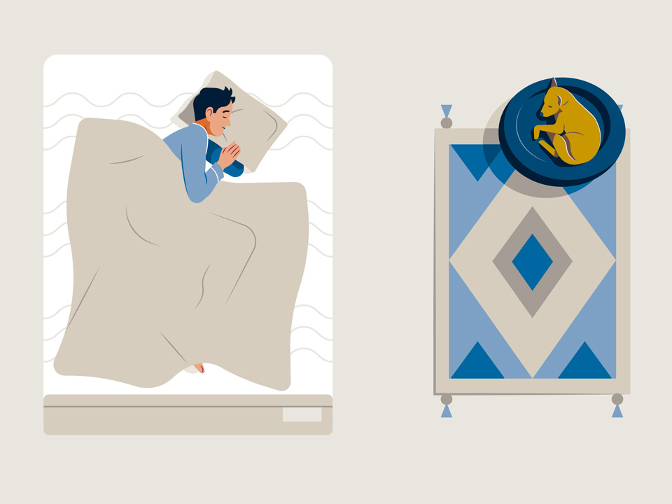 Structure and function of the mattress