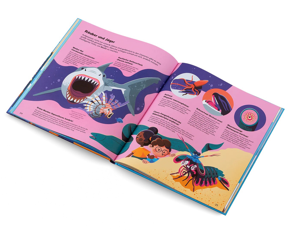 shark, moray eel and killer whale
