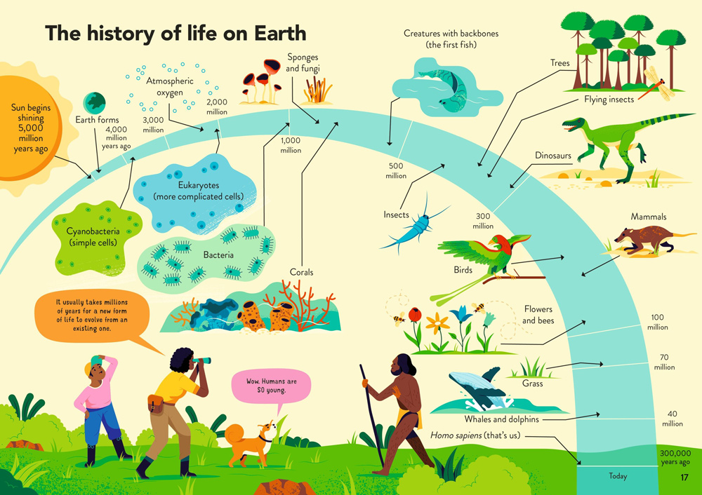infographic with plants and animals