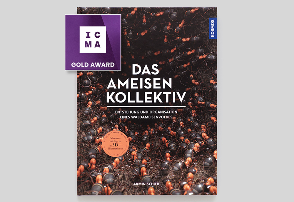 book cover of the ant collective, double pages of the book with ants fighting against ladybirds, infographic of an ant