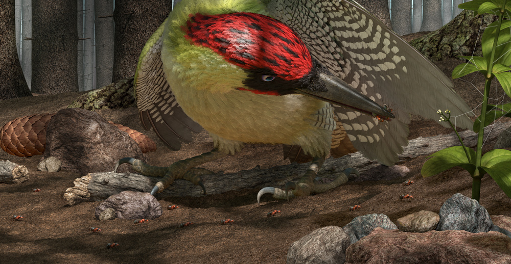 realistic illustration of a bird in the forest with ants
