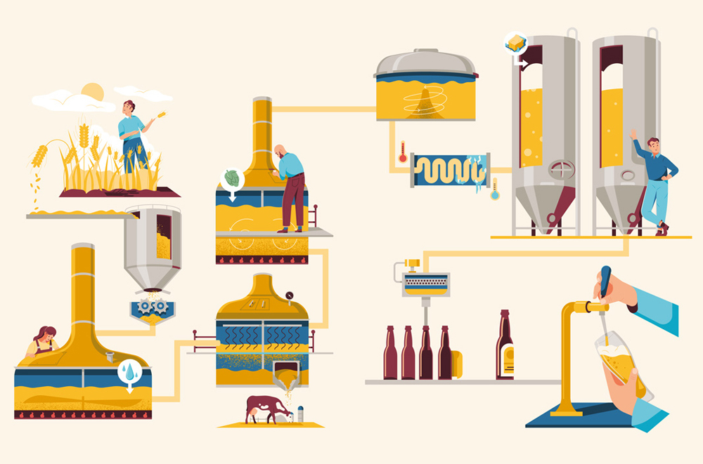 infographic about brewing beer