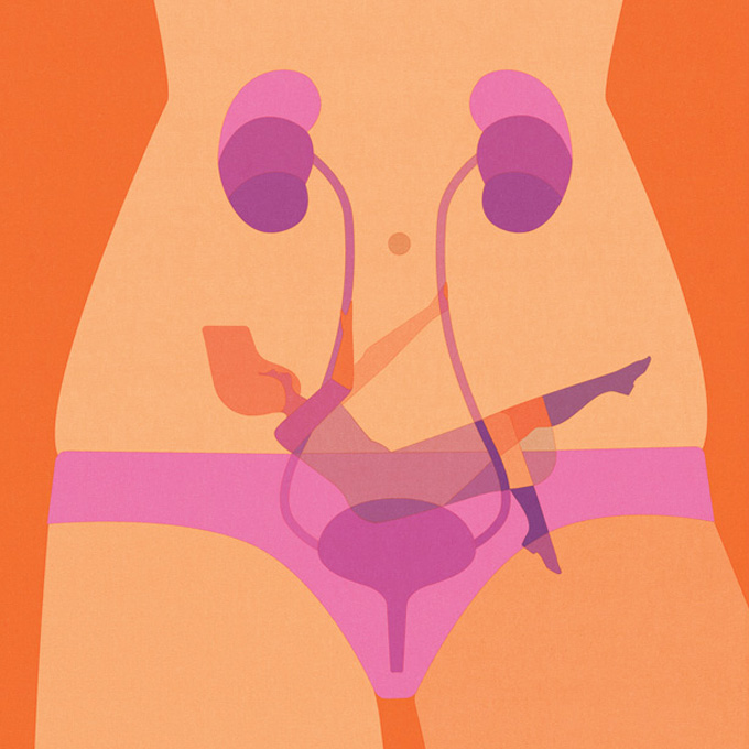 female bladder
