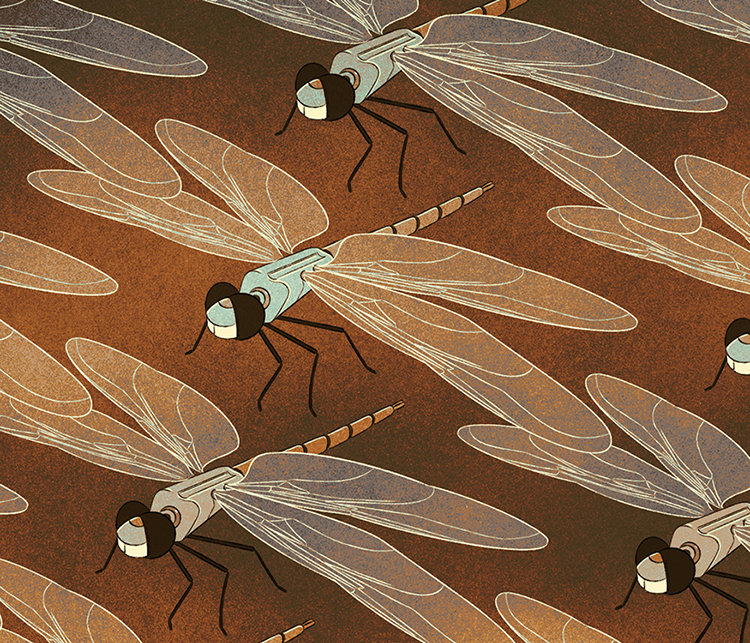 roboter dragonflies 