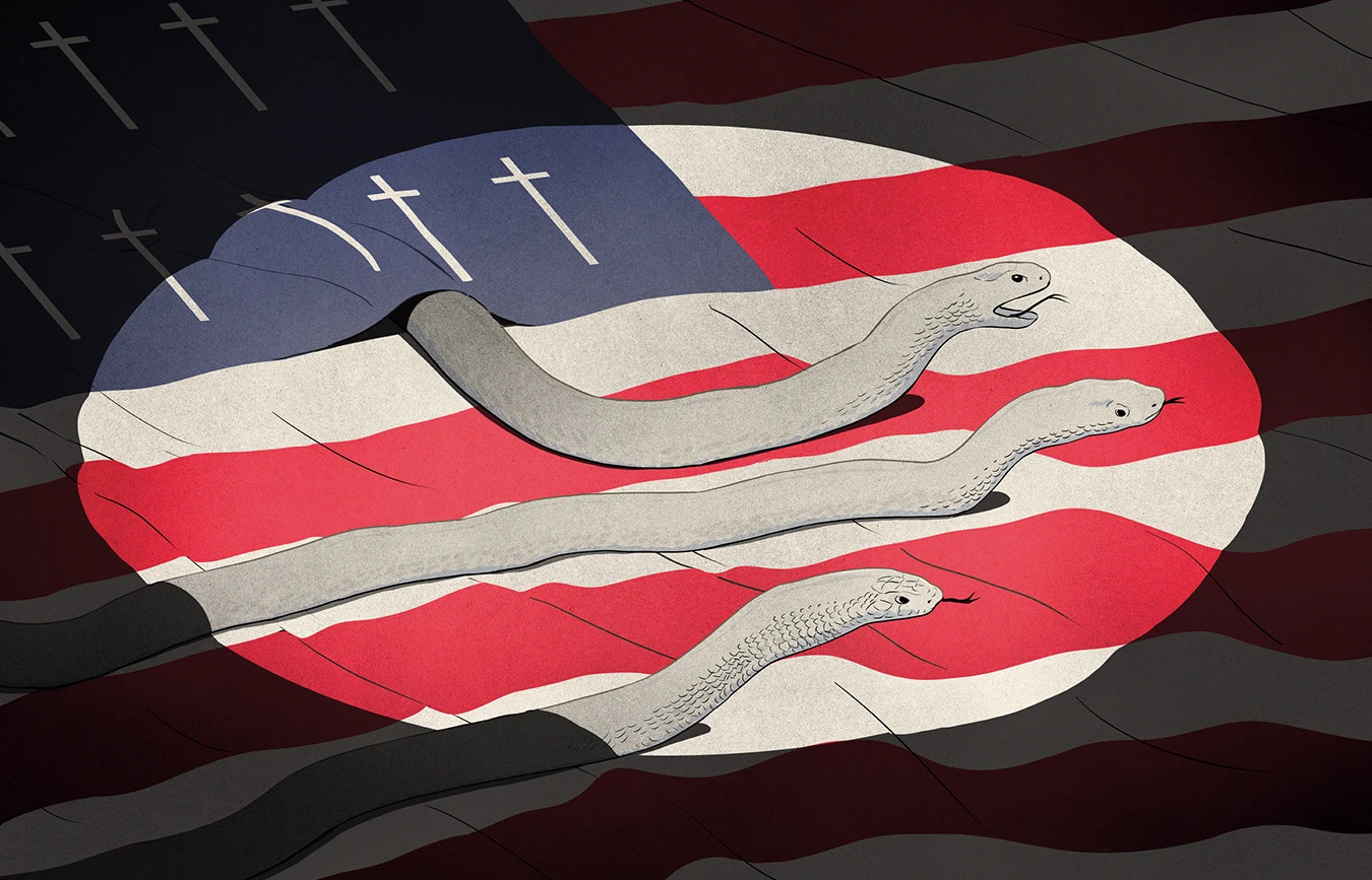 3 snakes on the U.S. flag
