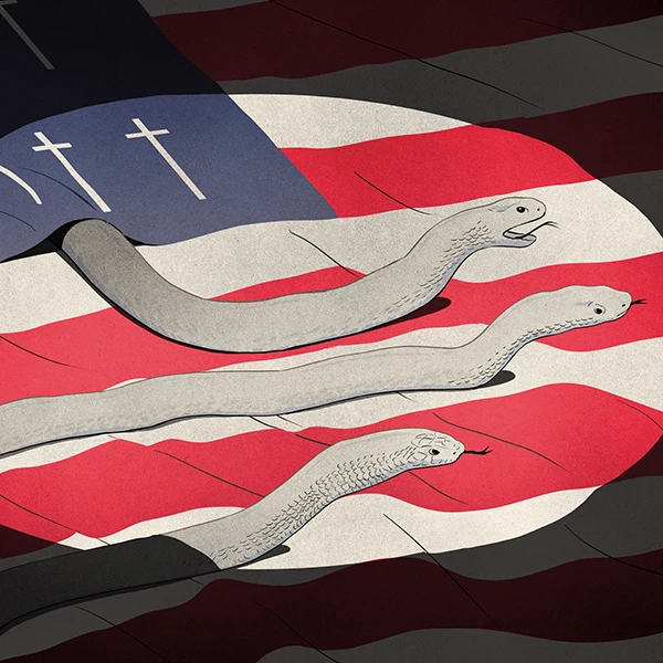 3 snakes on the U.S. flag