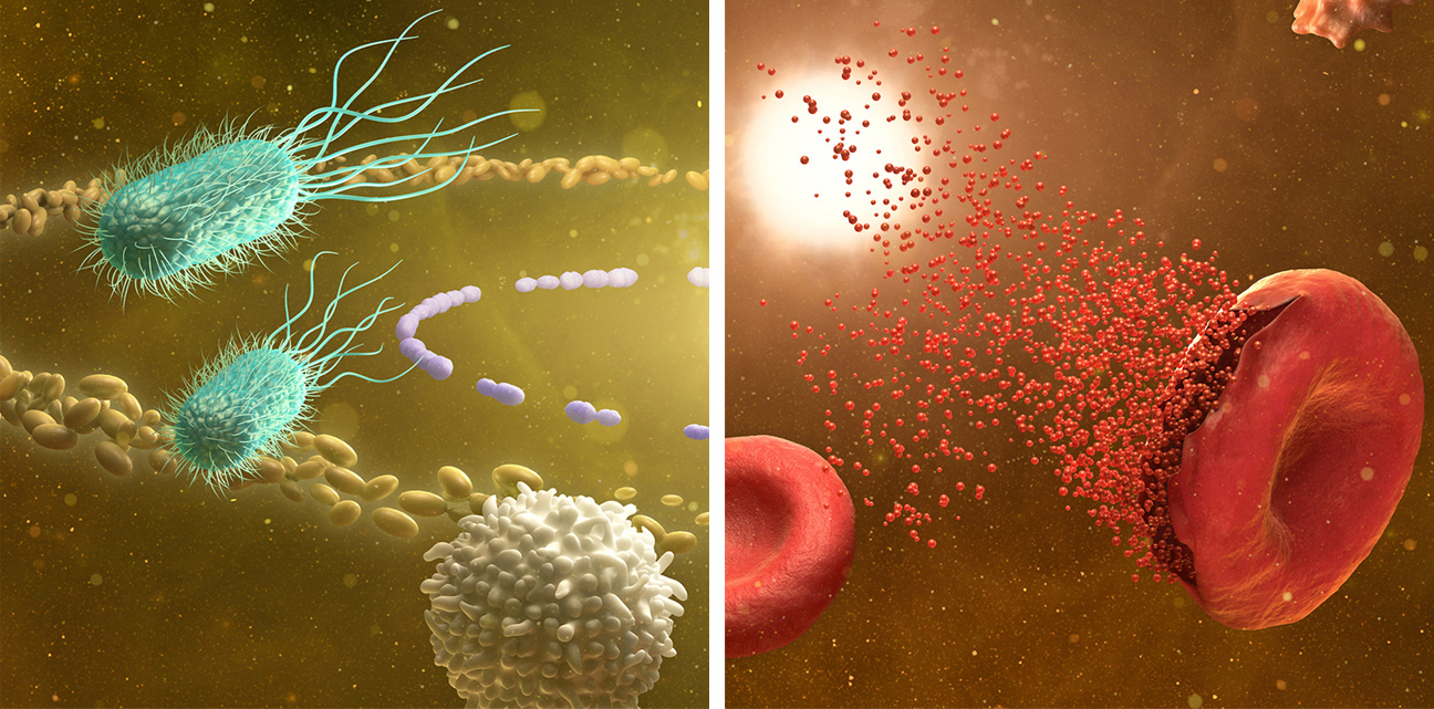 e.coli bacteria and haemoglobin as 3d model flying in a universe 