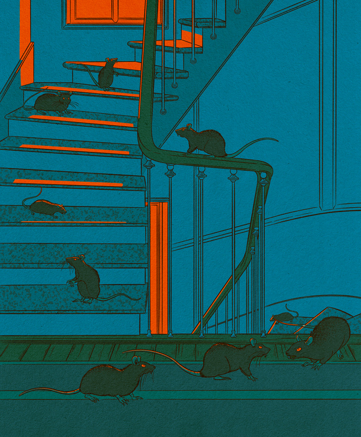 rats in a dark stairway