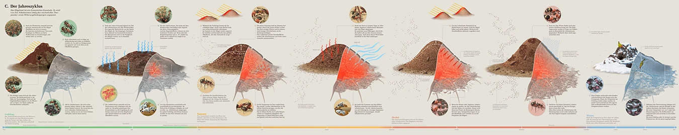 immersive ant exhibition 