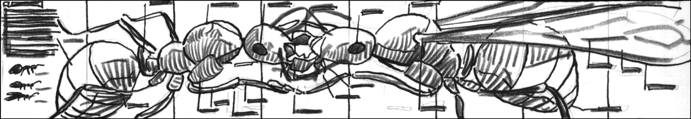Sketch of 2 ants feedign 