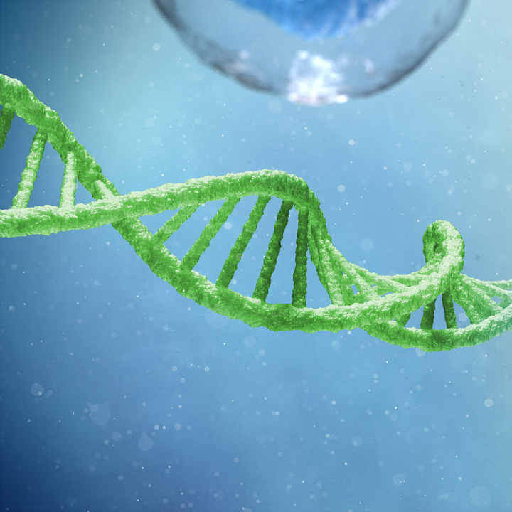 double helix