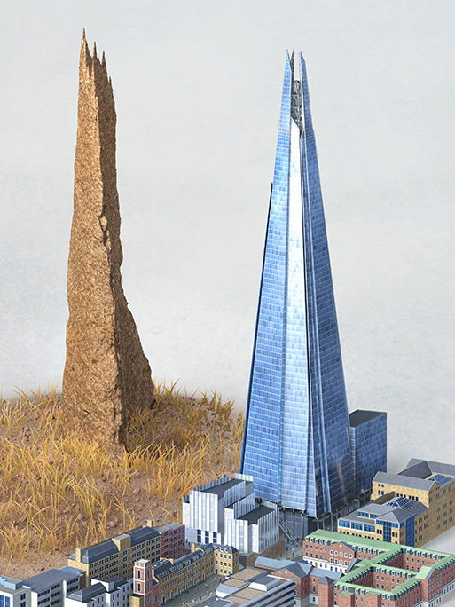 Armin Schieb / shard building