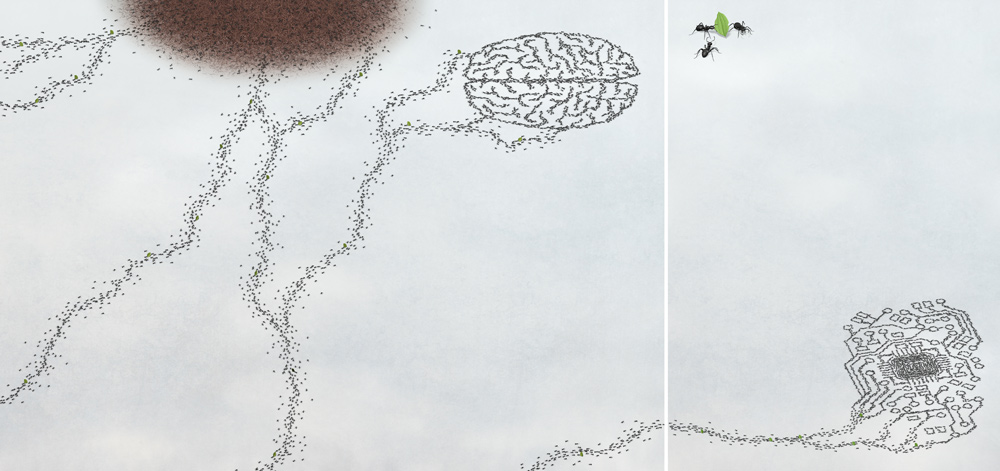 illustration of a swarm of ants which forms the shape of a brain and of an electro chip