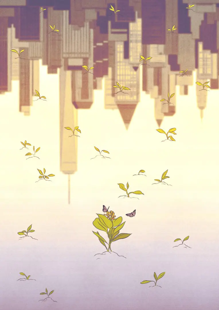 view into the lake, reflecting skyscrapers