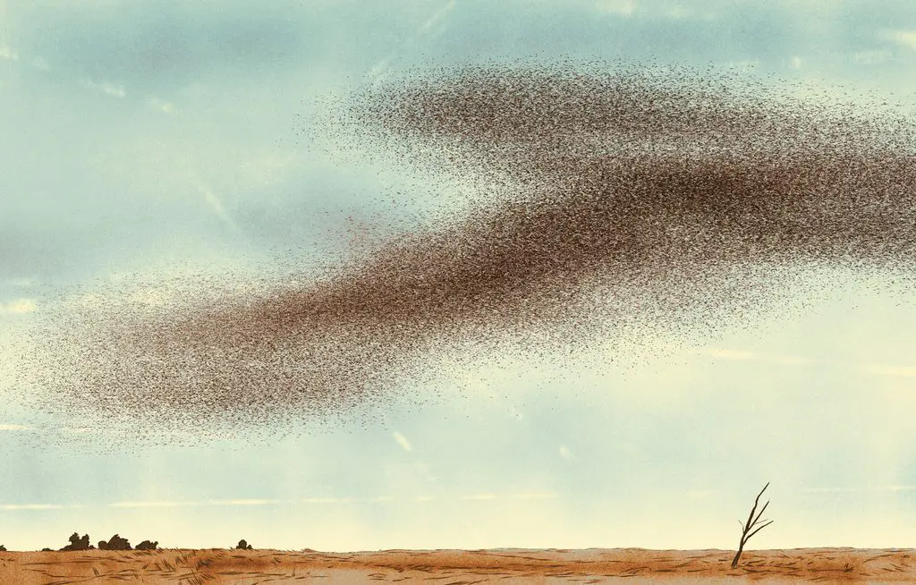 big swarm of birds in the sky 