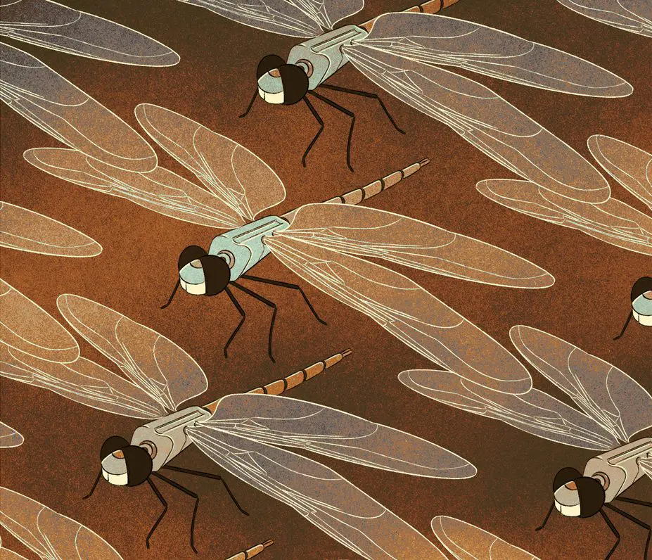 robotic dragonflies 