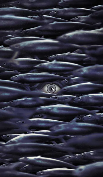  / The Swarm