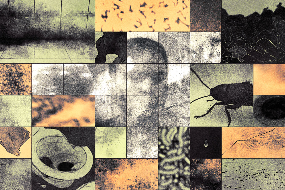 collage of dirt, cockroach, toilet and trash