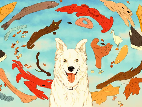  / Cats and Dogs