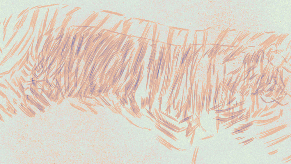 tiger stripes