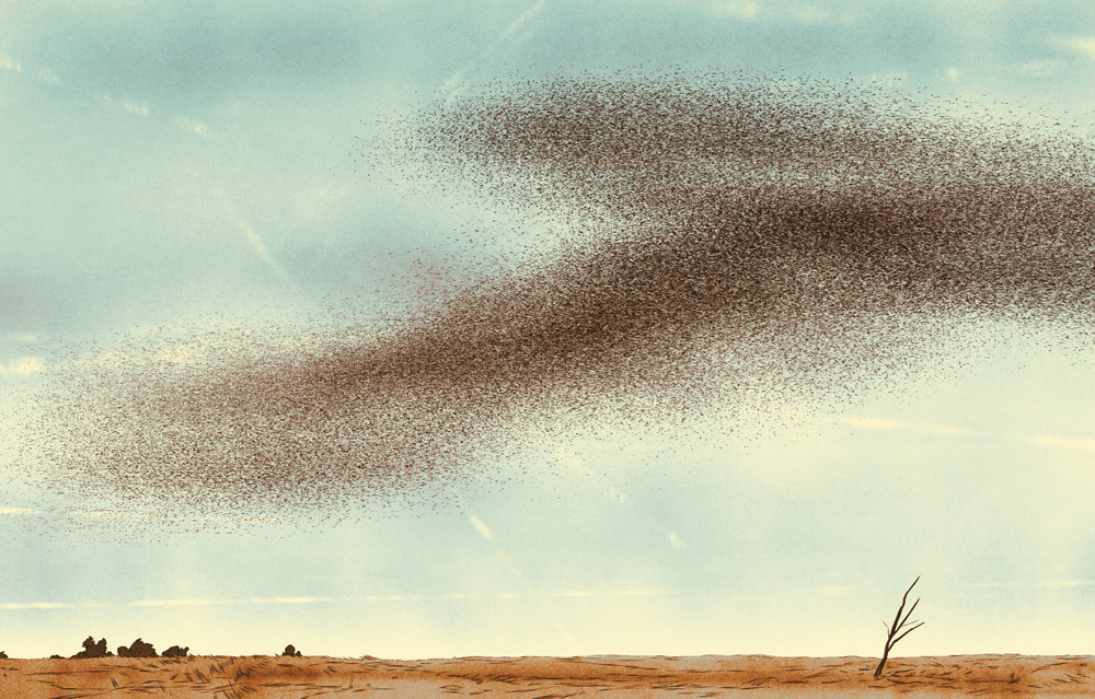 swarm in the sky 