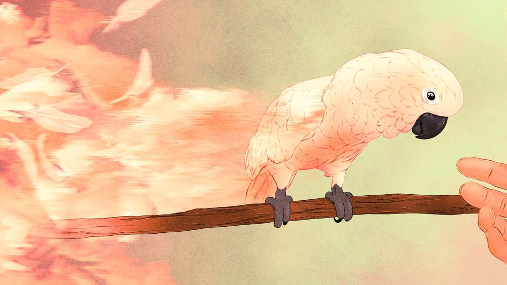 parrot on branch