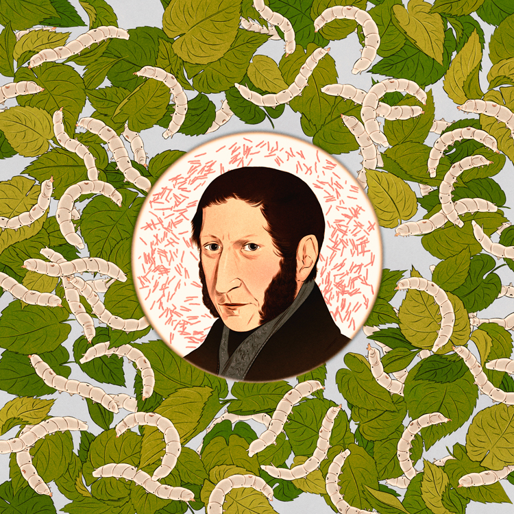 portrait of Agostino Bassi surrounded by Silkworms on leaves